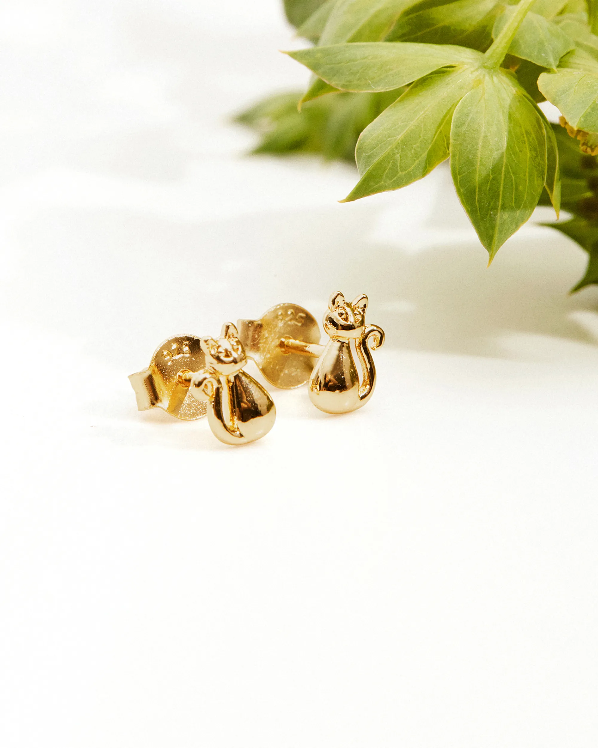 Cat Studs