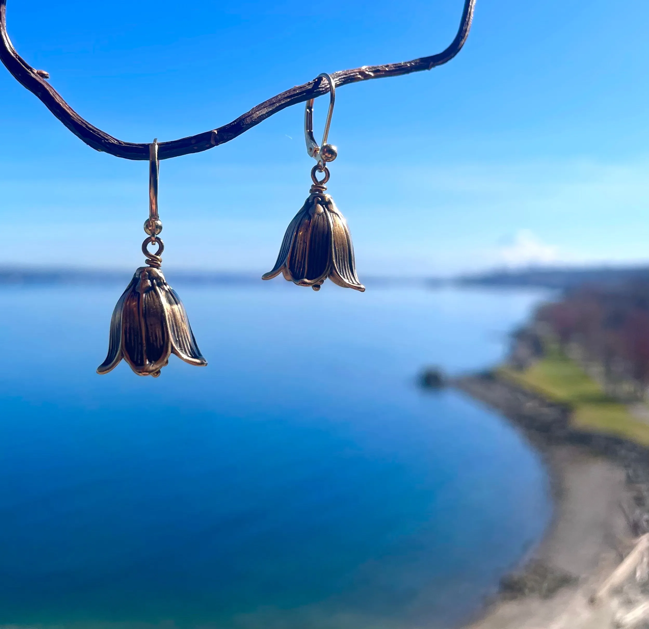 Chocolate Lily Earrings Bronze