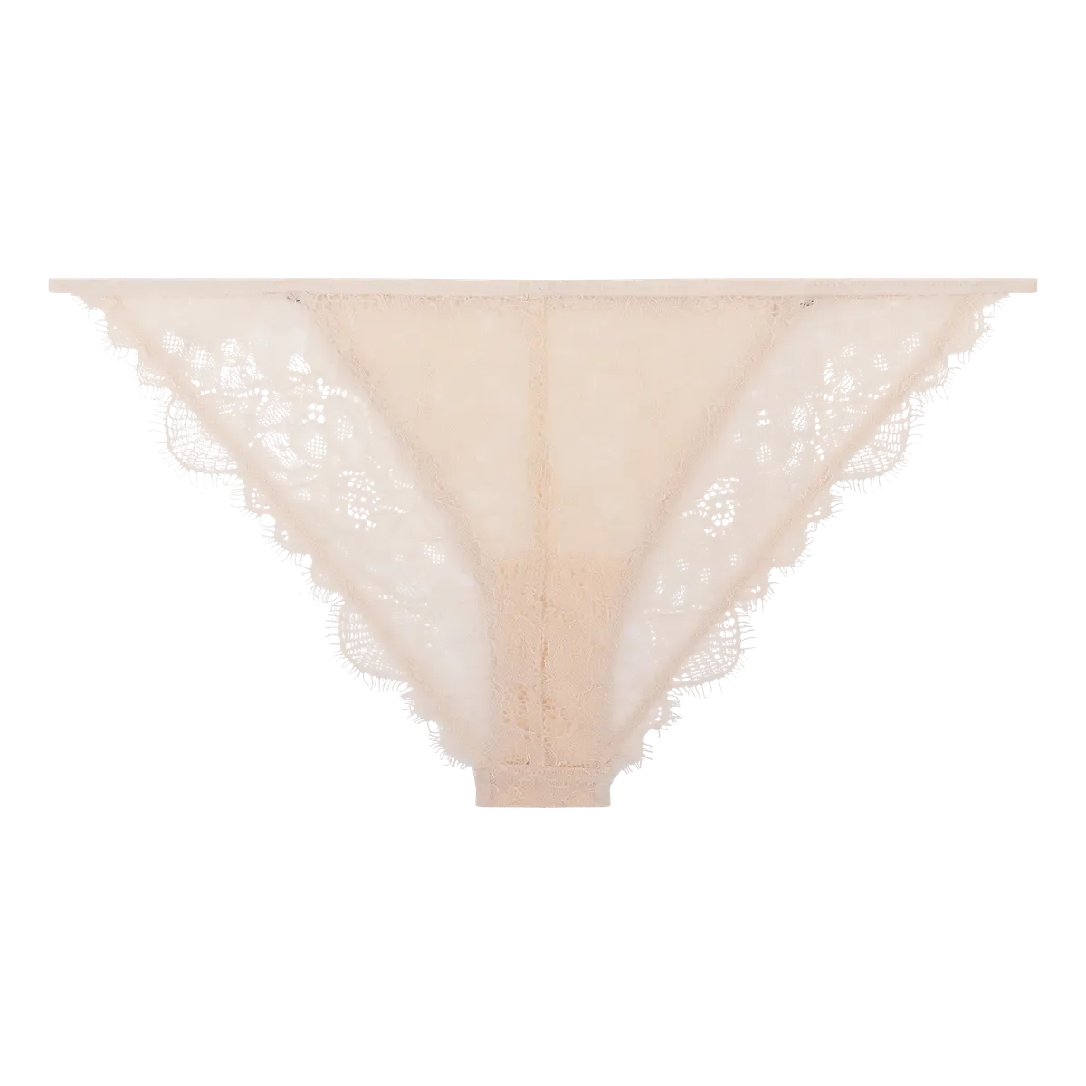 Delicate lace briefs - WILD ROSE OFF WHITE