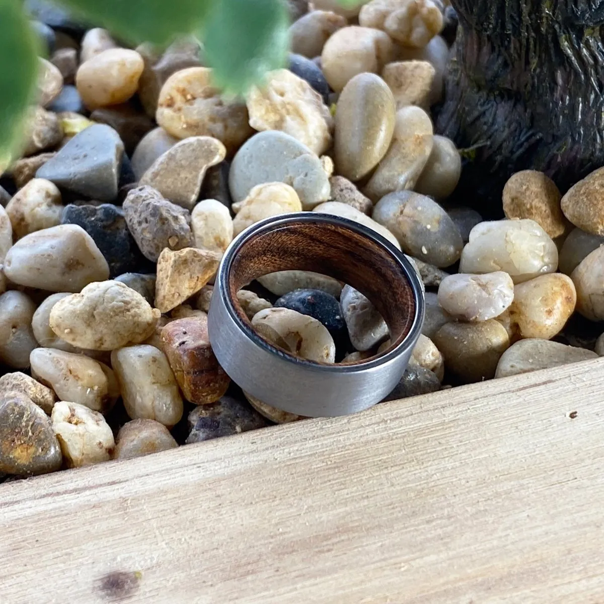 ESCOTT | Zebra Wood, Silver Tungsten Ring, Brushed, Flat