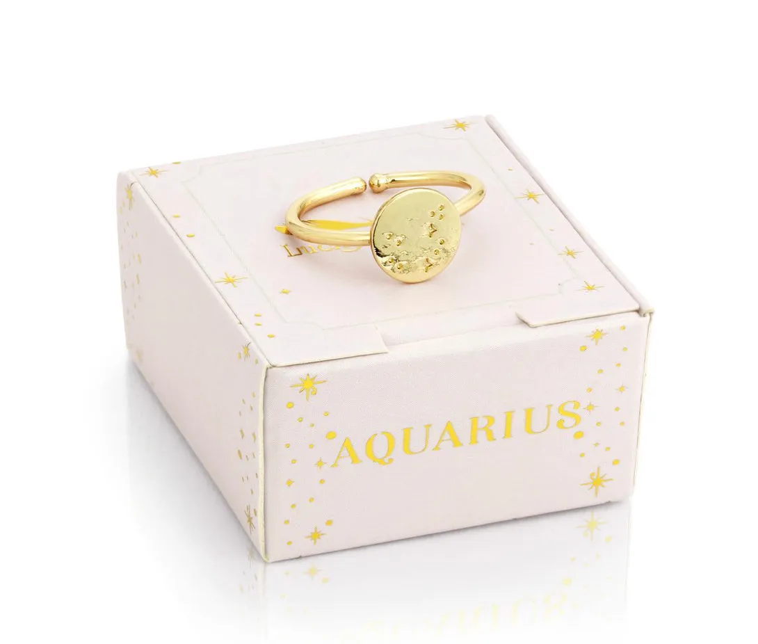 Lucky Feather Zodiac Signet Ring - Aquarius