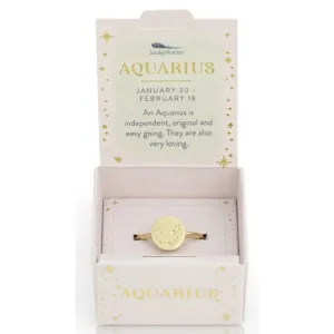 Lucky Feather Zodiac Signet Ring - Aquarius