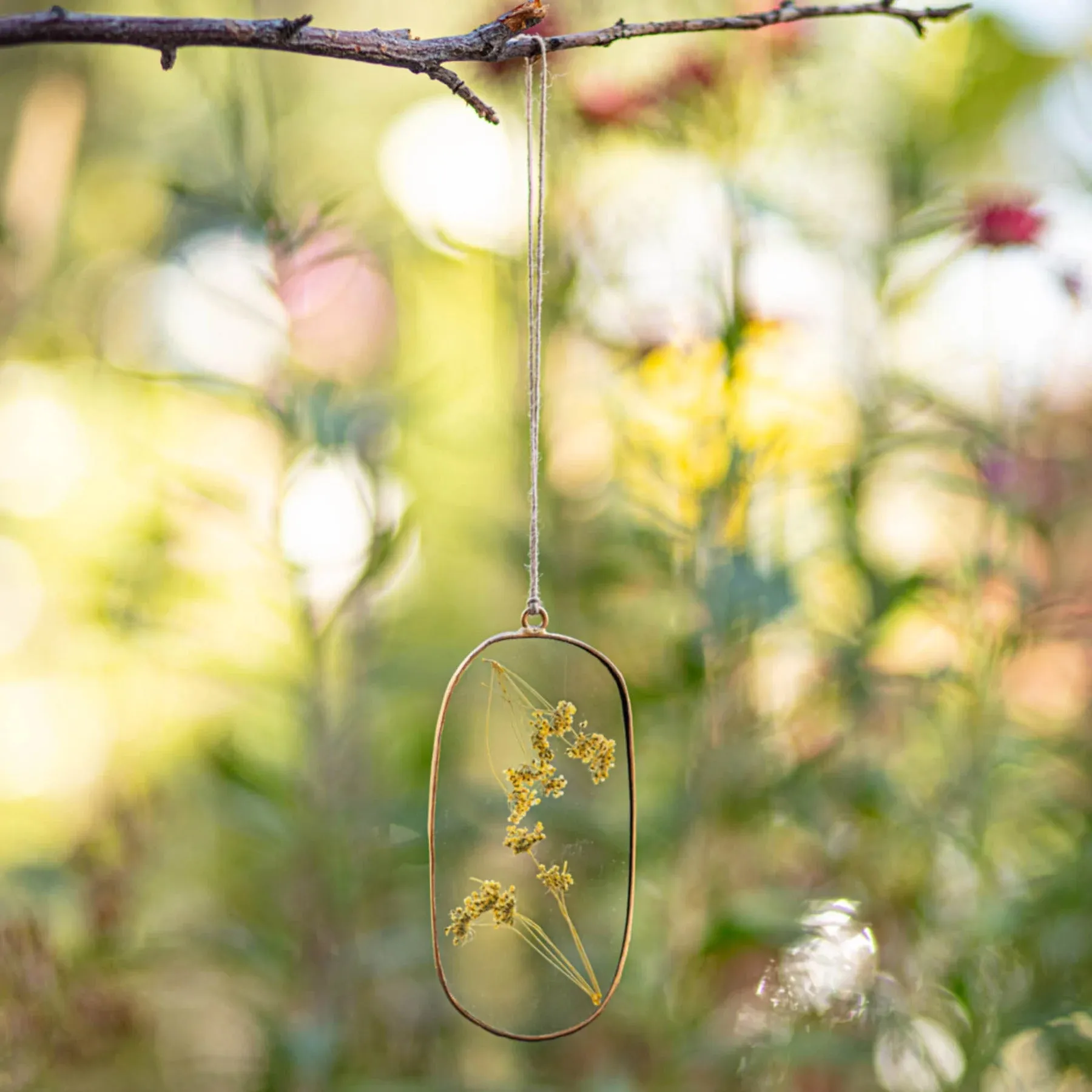 Rosy Rings Amber Squoval Pressed Floral Suncatcher