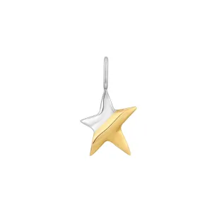 Two Tone Star Charm by Ania Haie